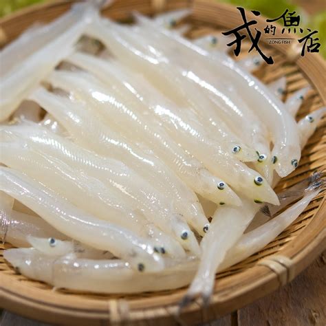 水晶魚是什麼魚|鯔魚